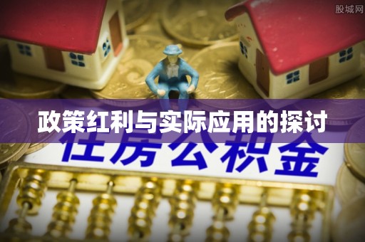 汉川政策红利与实际应用的探讨