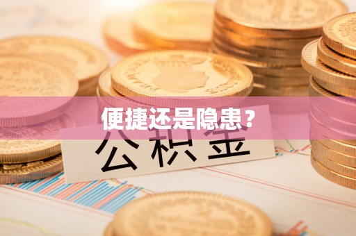 汉川便捷还是隐患？