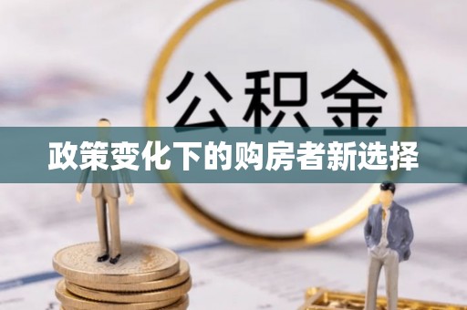 汉川政策变化下的购房者新选择